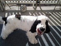 /album/patu/puh0304-028-jpg/